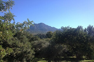  Der Blick von der Finca, Gaucín 